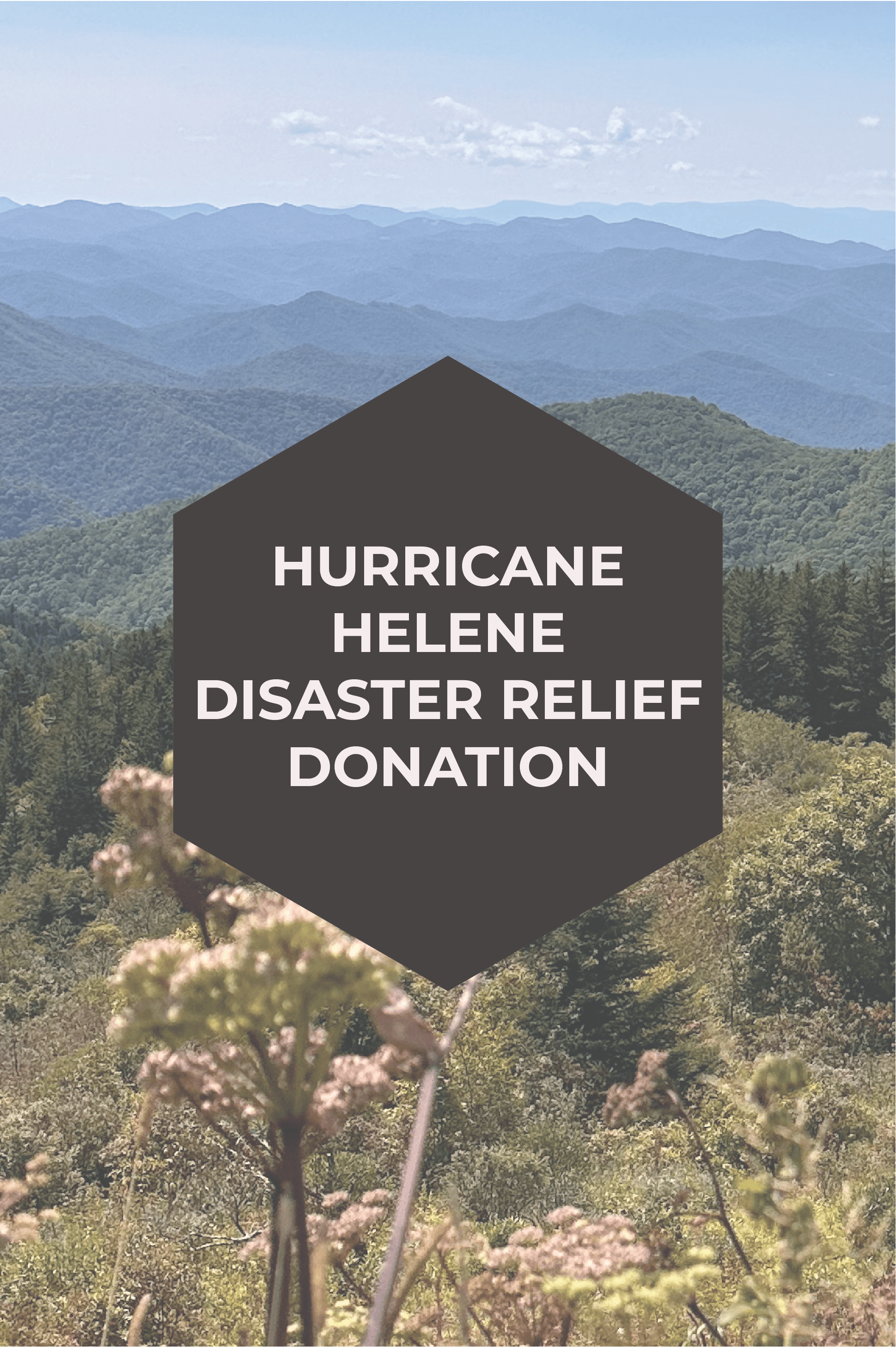 HURRICANE HELENE DISASTER RELIEF DONATION