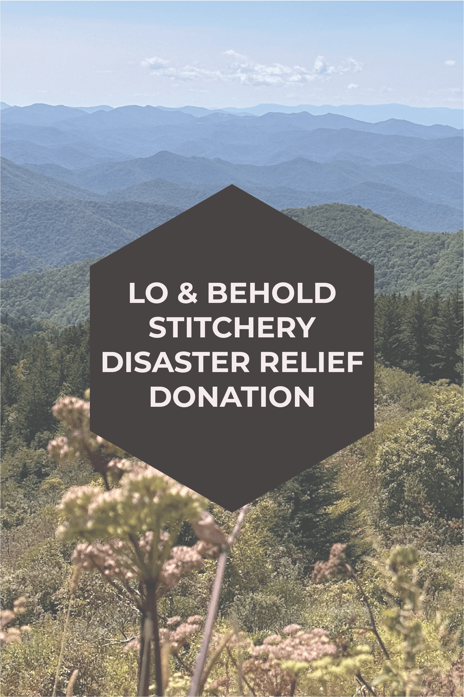 LO & BEHOLD STITCHERY DISASTER RELIEF DONATION